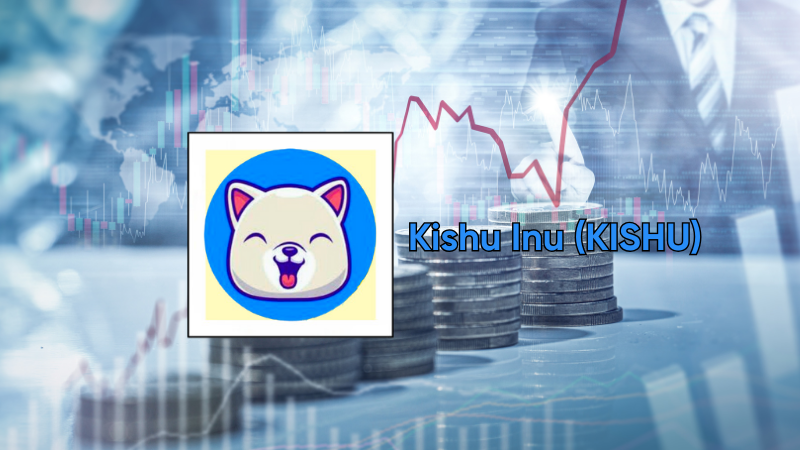 top-meme-coin-kishu-inu